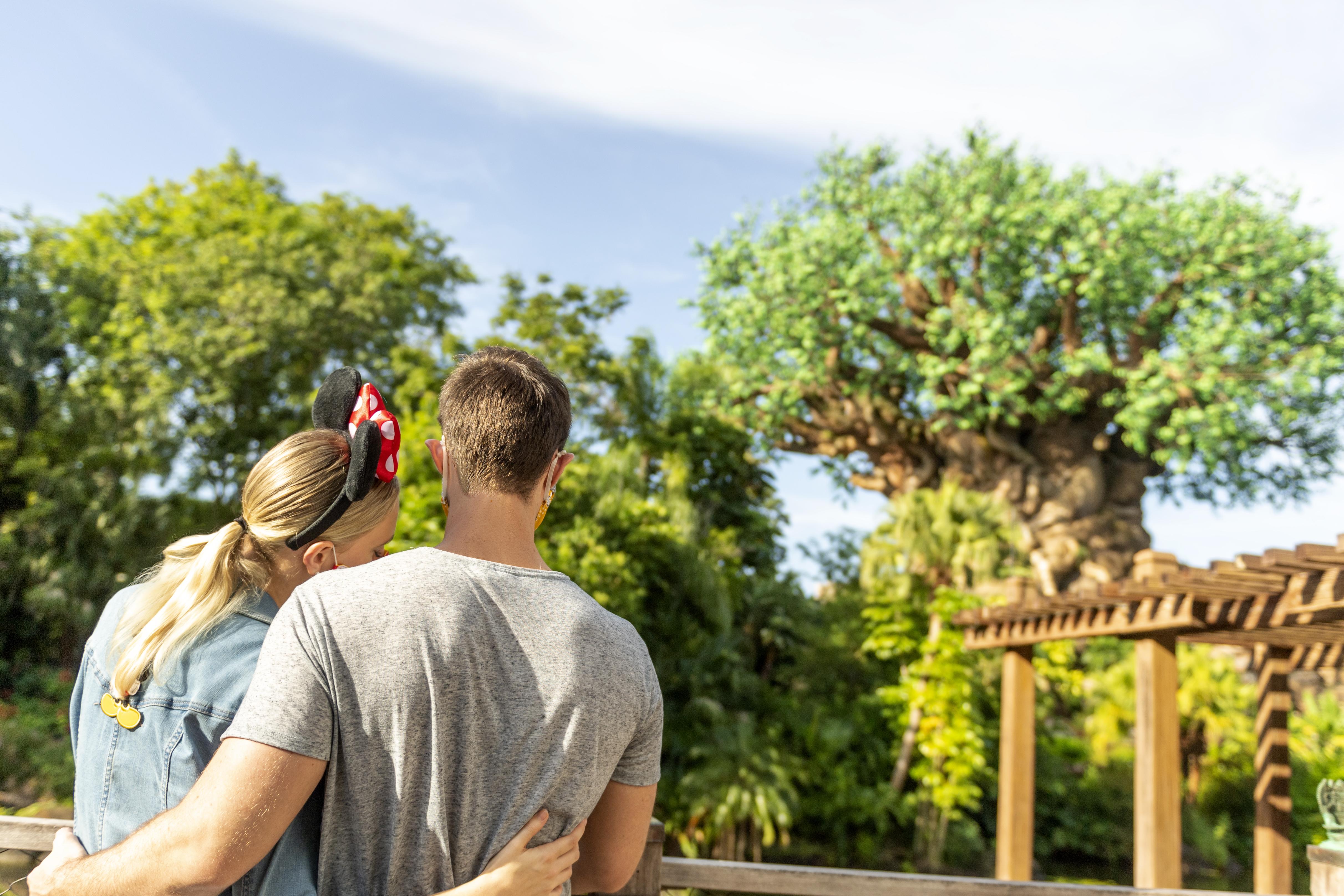 Disney'S Animal Kingdom Lodge Four Corners Exterior photo