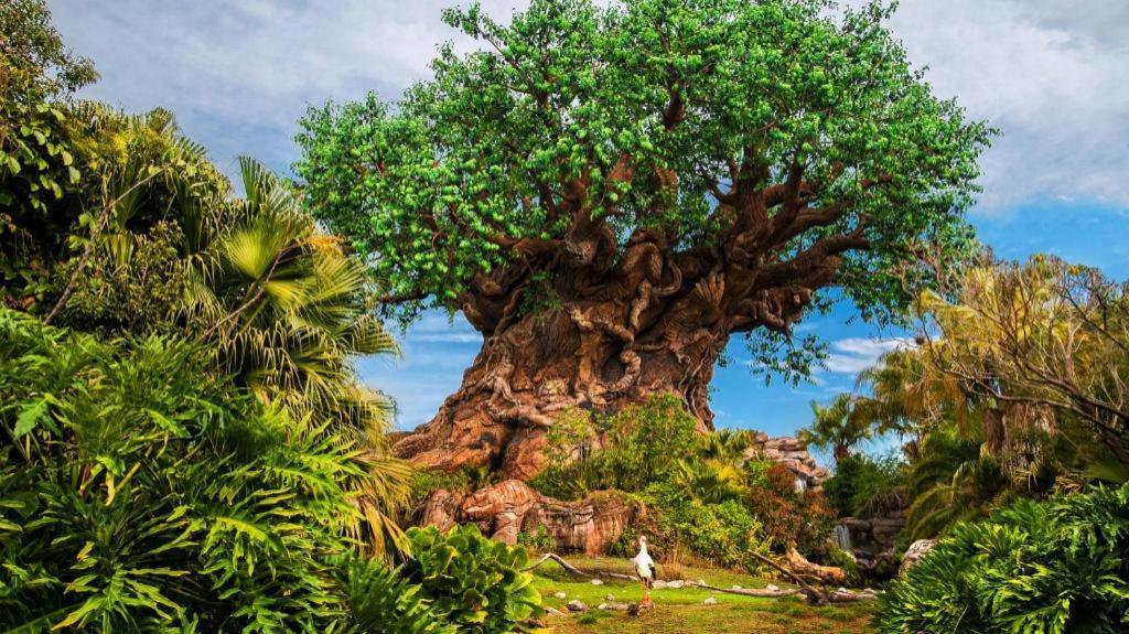 Disney'S Animal Kingdom Lodge Four Corners Exterior photo