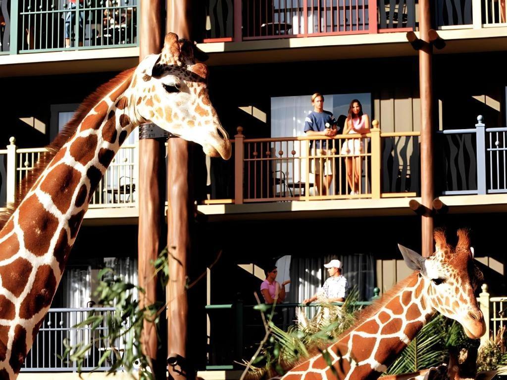 Disney'S Animal Kingdom Lodge Four Corners Exterior photo