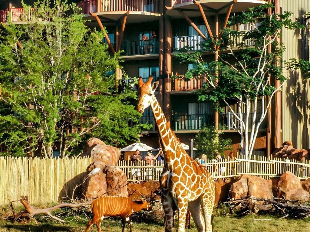 Disney'S Animal Kingdom Lodge Four Corners Exterior photo