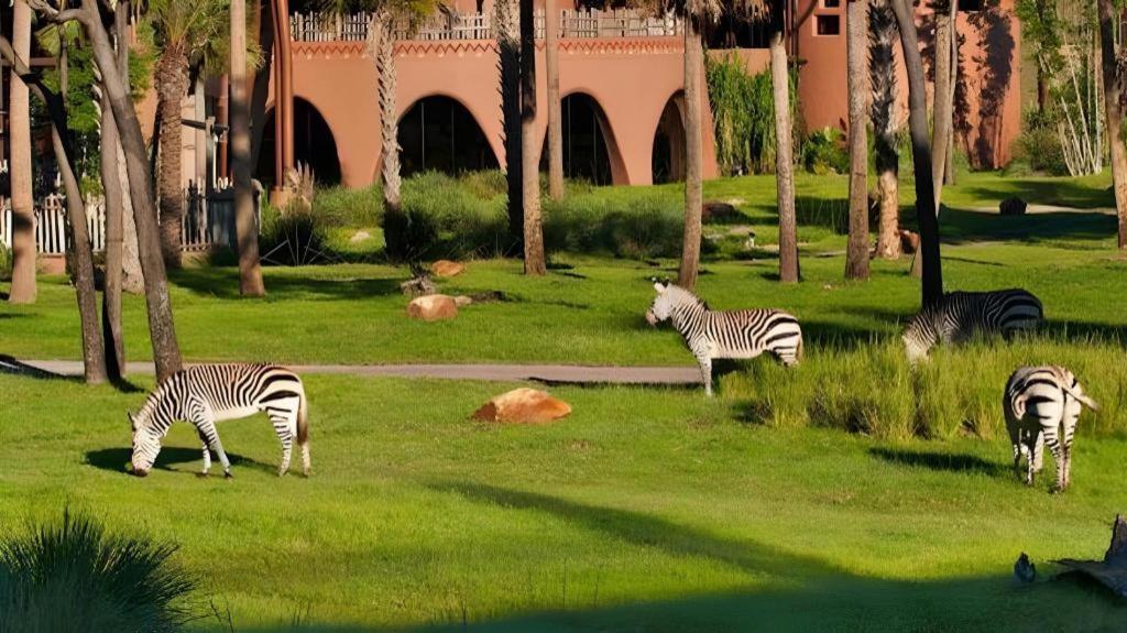 Disney'S Animal Kingdom Lodge Four Corners Exterior photo